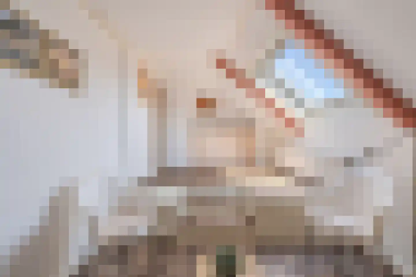 Kerkstraat 19 Tjerkwerd thumbnail 47