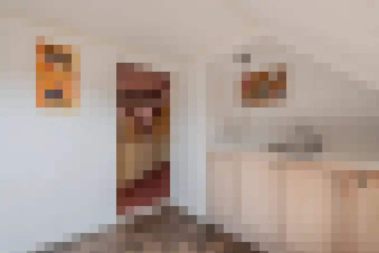 Kerkstraat 19 Tjerkwerd thumbnail 48
