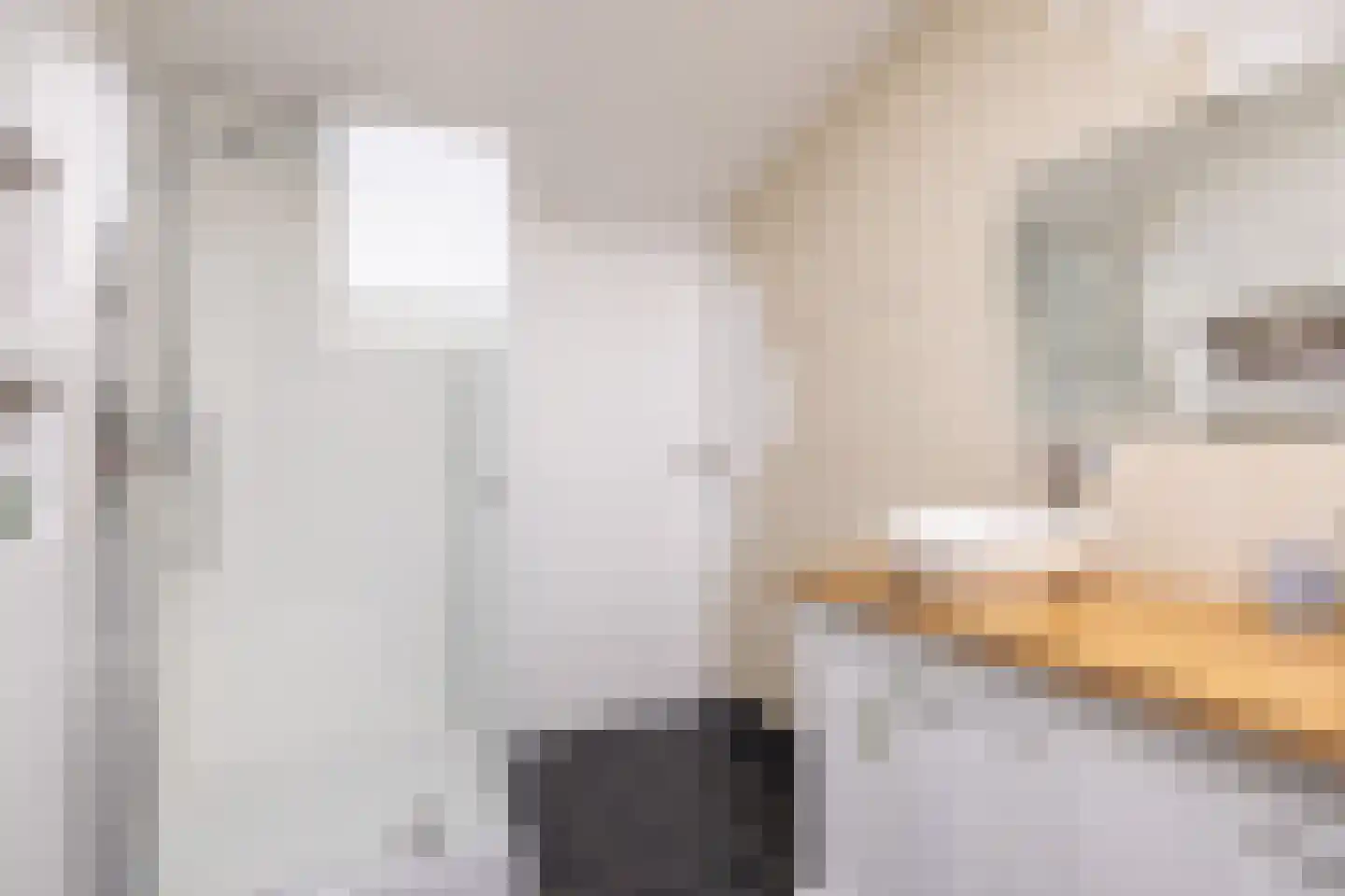 Kerkstraat 19 Tjerkwerd thumbnail 51