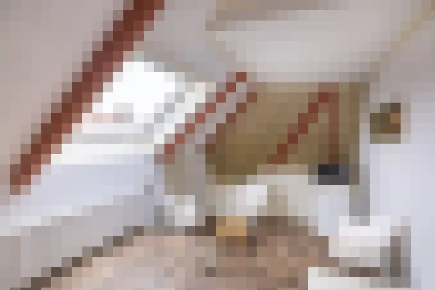 Kerkstraat 19 Tjerkwerd thumbnail 52