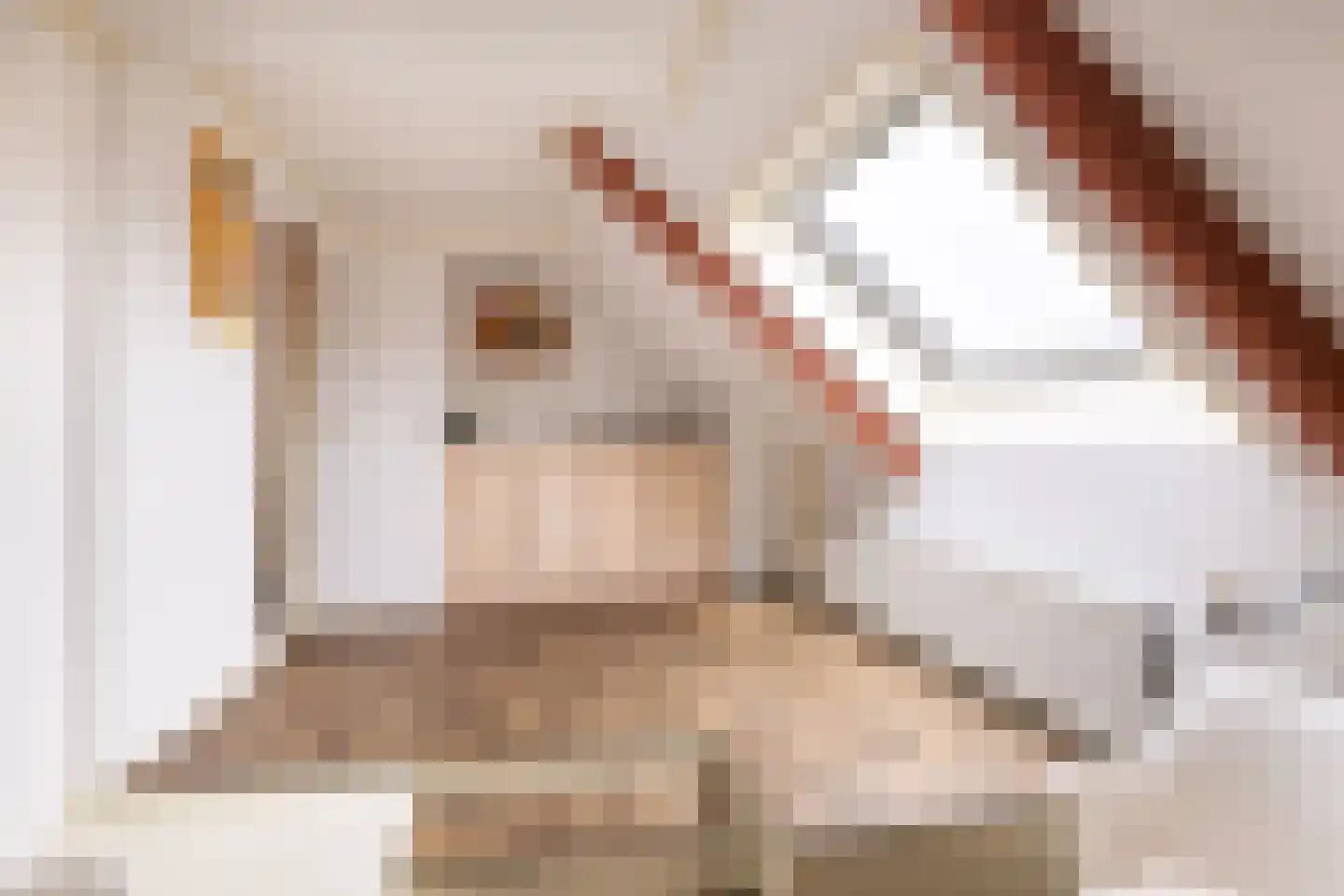 Kerkstraat 19 Tjerkwerd thumbnail 53