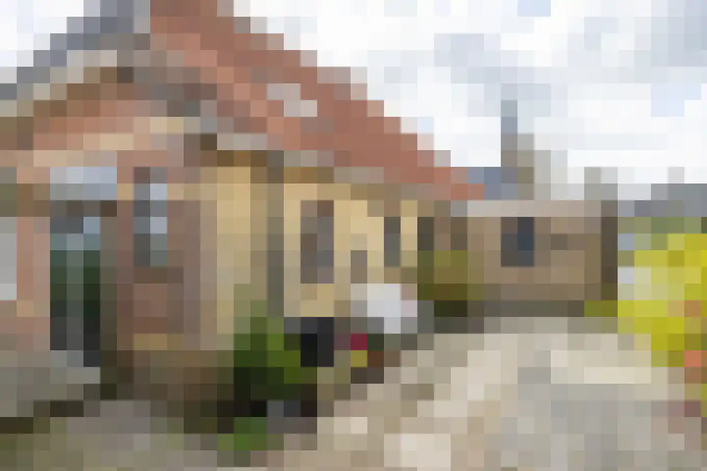 Kerkstraat 19 Tjerkwerd thumbnail 56