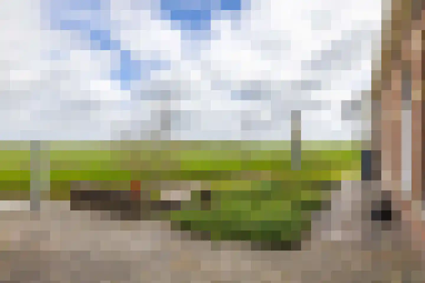 Kerkstraat 19 Tjerkwerd thumbnail 58