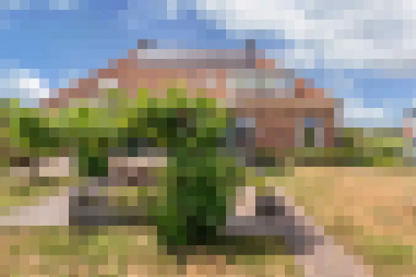 Kerkstraat 19 Tjerkwerd thumbnail 62