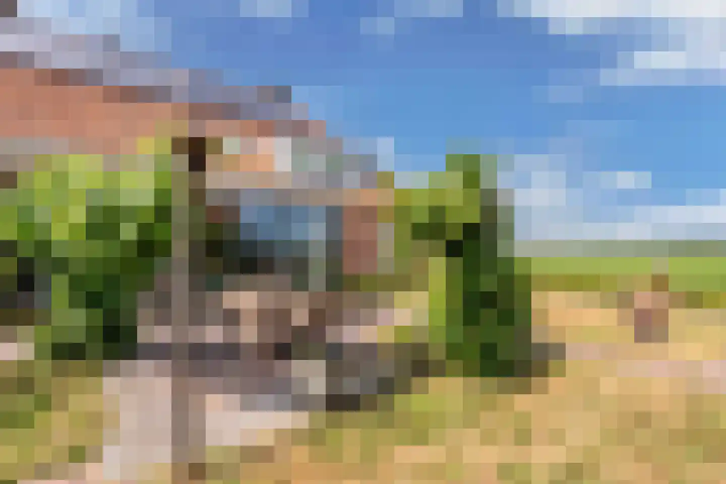 Kerkstraat 19 Tjerkwerd thumbnail 63