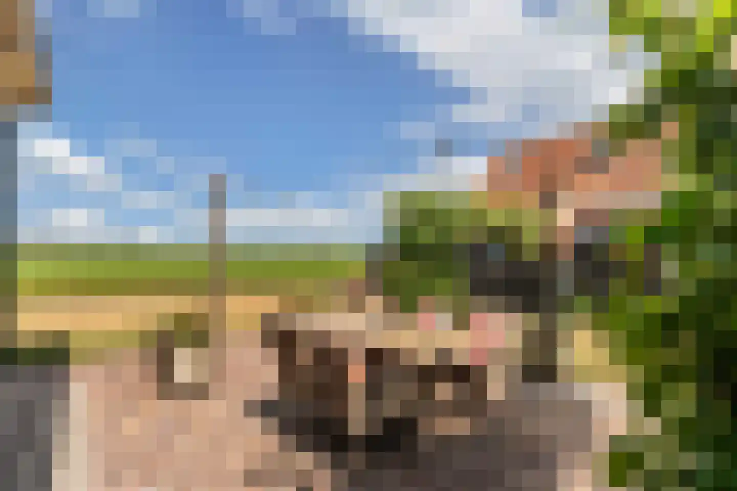 Kerkstraat 19 Tjerkwerd thumbnail 65