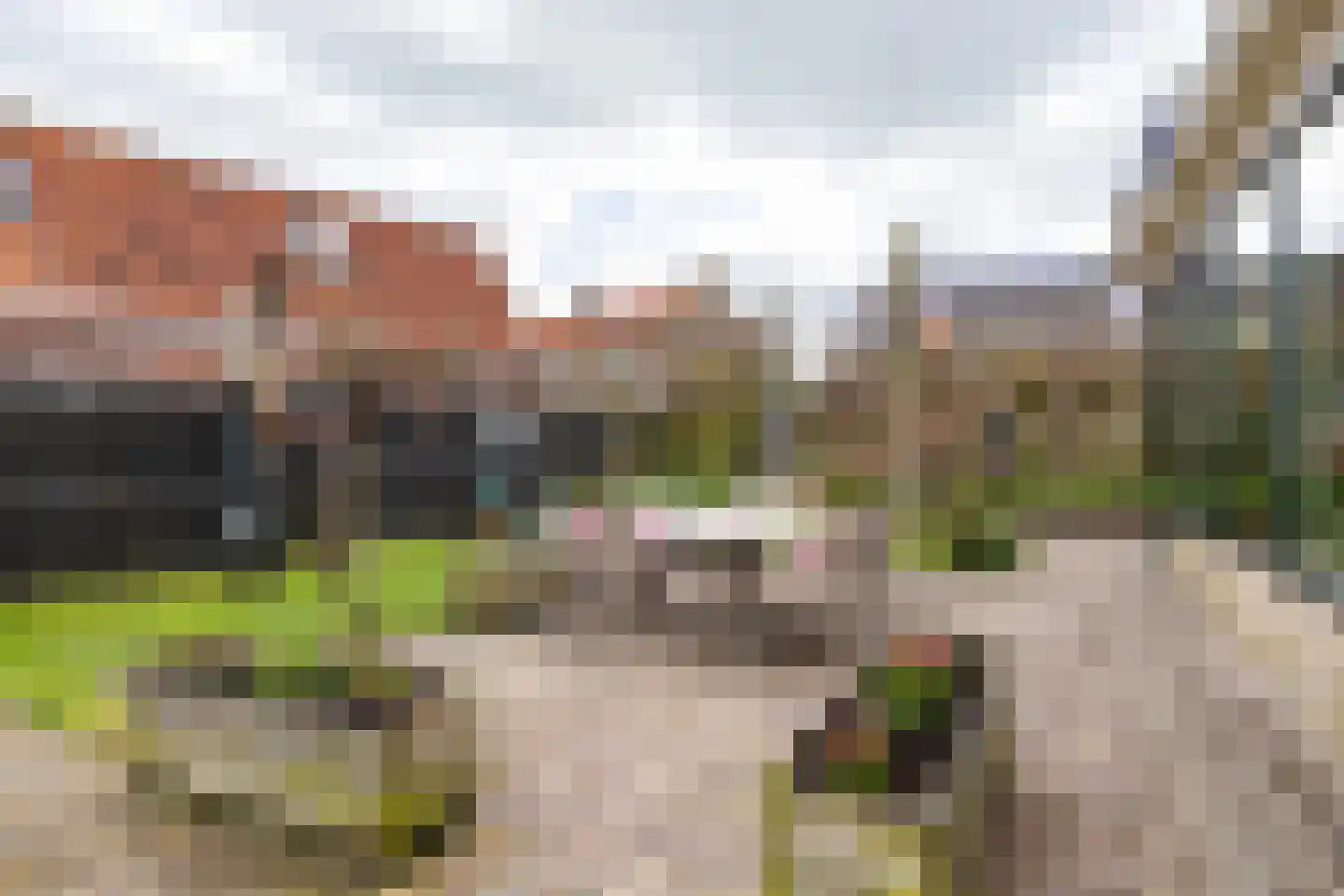 Kerkstraat 19 Tjerkwerd thumbnail 67