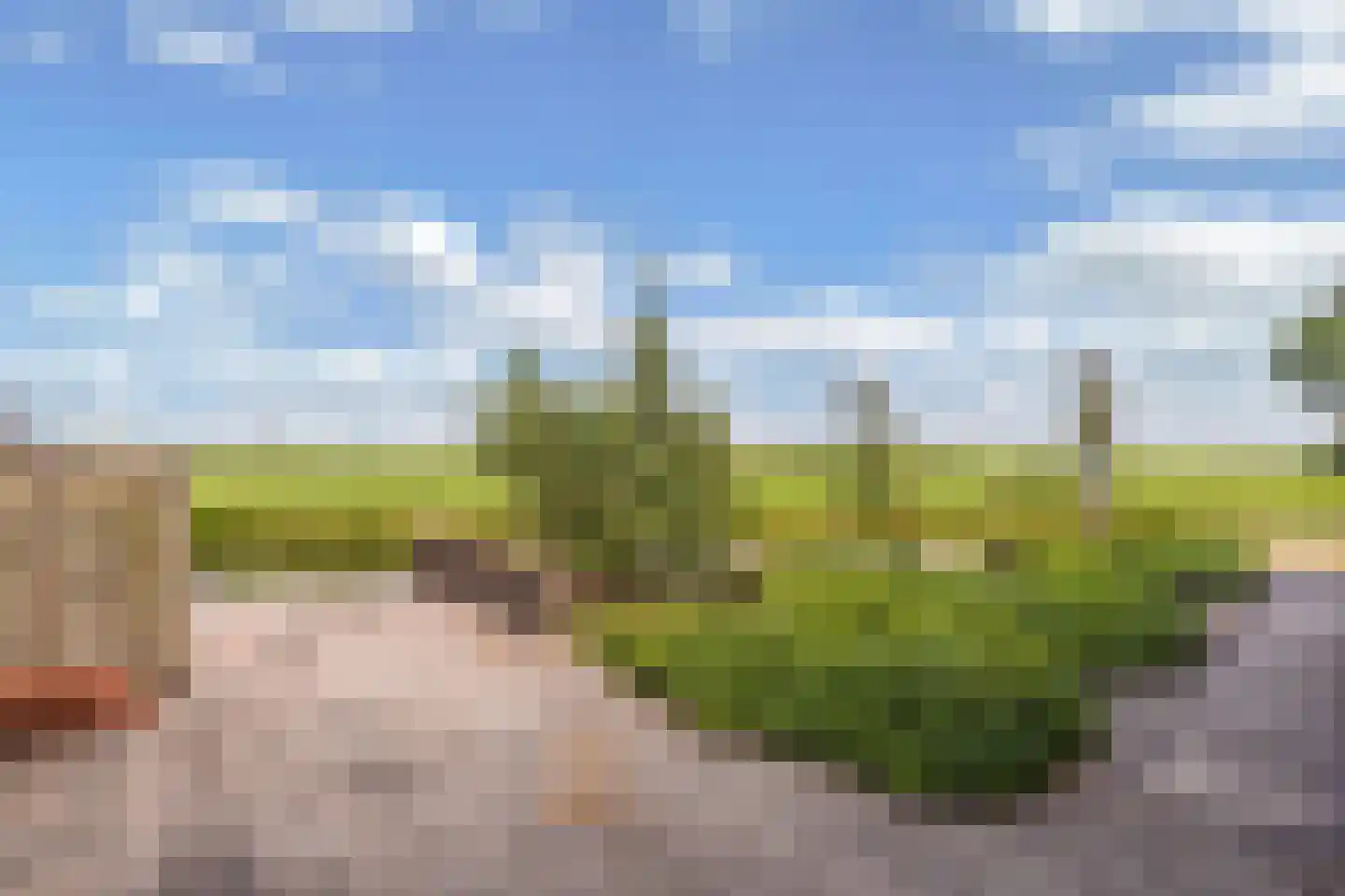 Kerkstraat 19 Tjerkwerd thumbnail 9