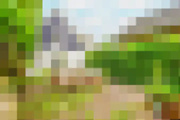 Kerkstraat 2 A Eemnes thumbnail 29