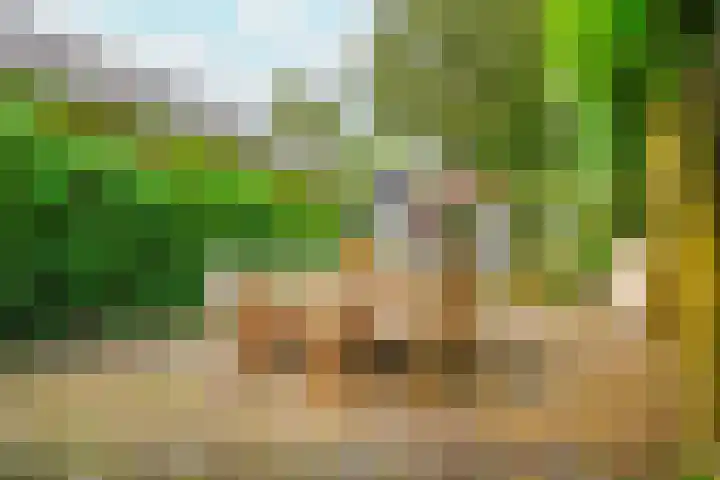 Kerkstraat 2 A Eemnes thumbnail 36