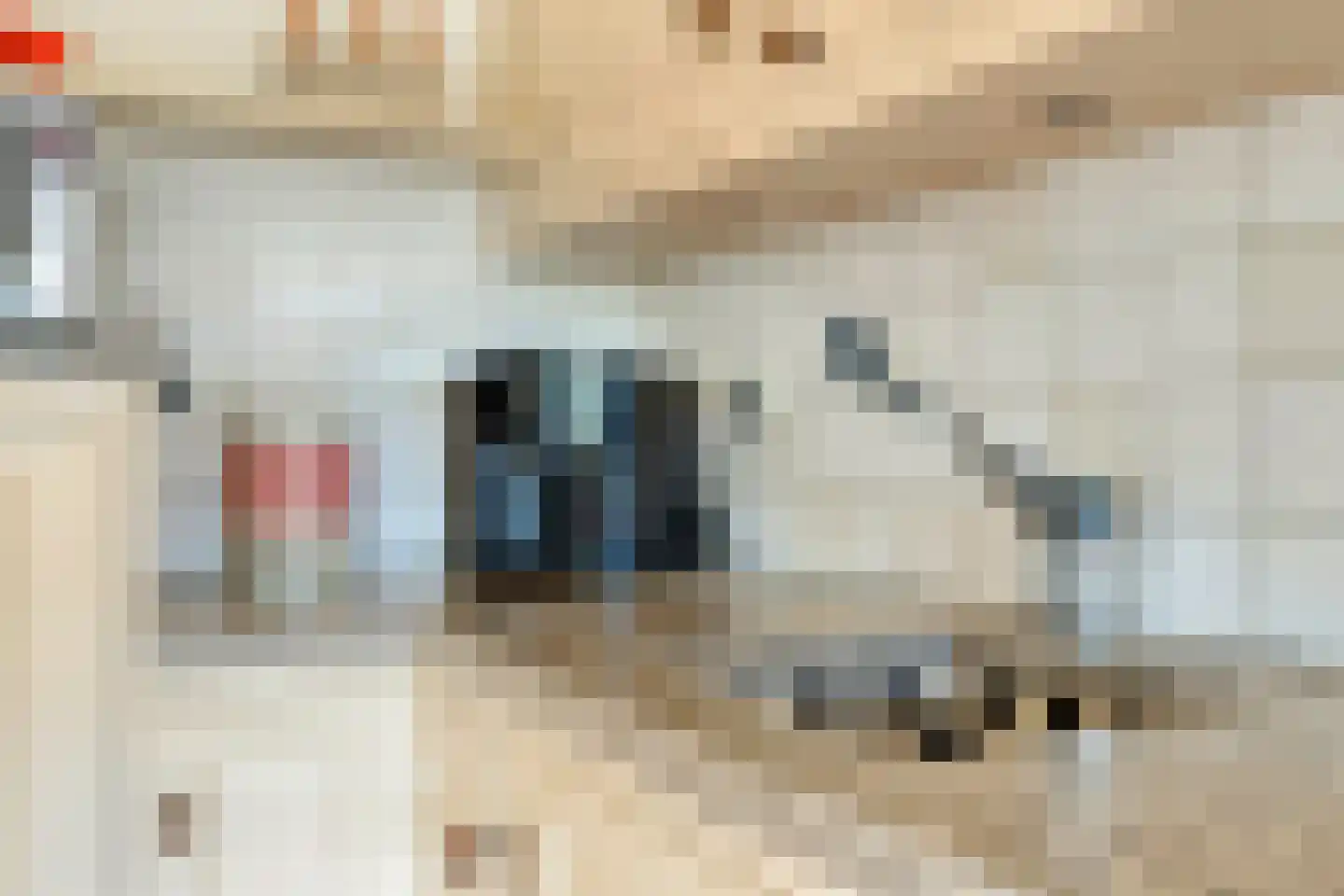 Kerkstraat 2 Andelst thumbnail 37
