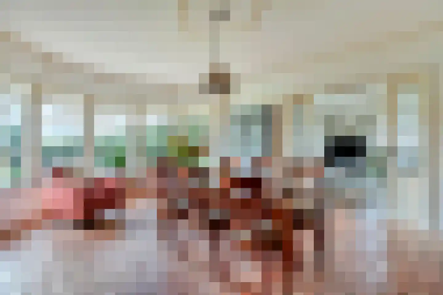 Kerkstraat 2 Andelst thumbnail 39