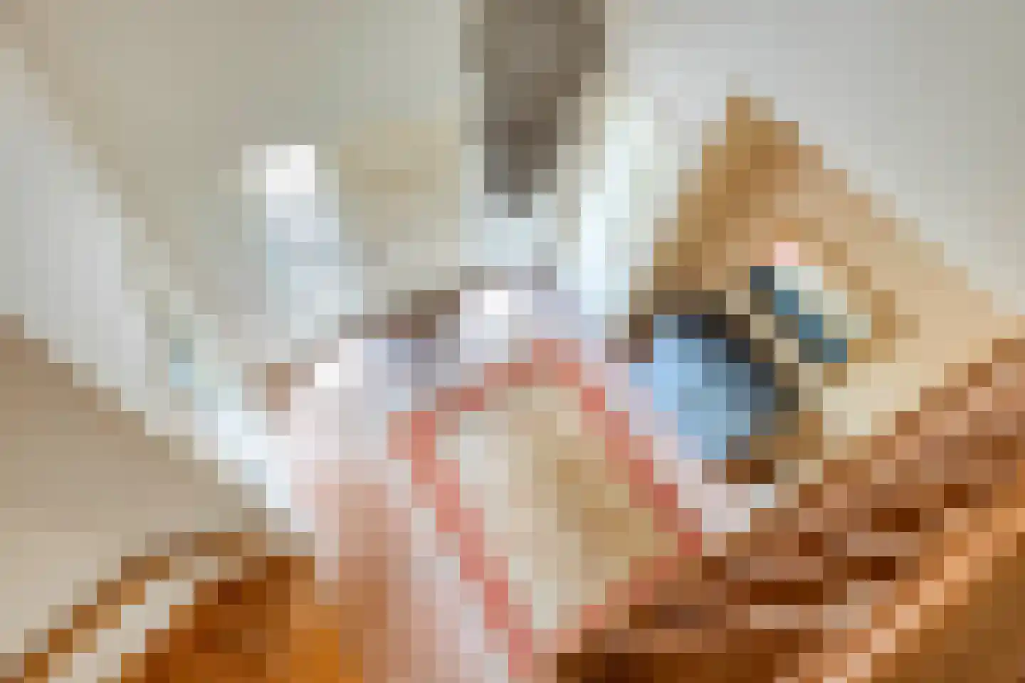 Kerkstraat 2 Andelst thumbnail 50