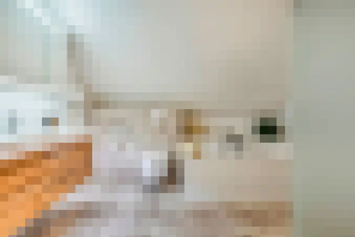 Kerkstraat 2 Andelst thumbnail 60