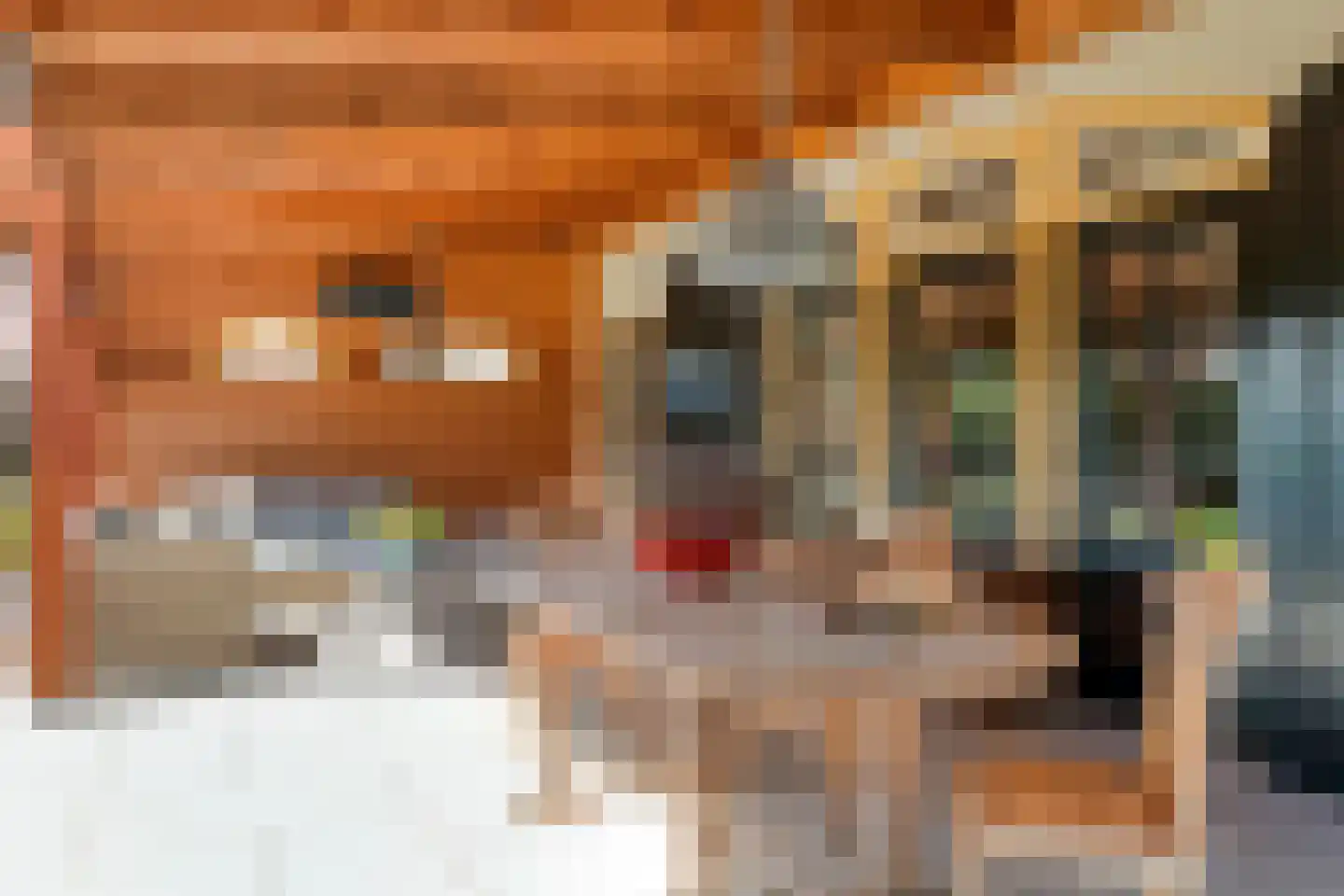 Kerkstraat 2 Andelst thumbnail 76