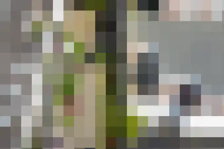 Kerkstraat 2 b Zaltbommel thumbnail 5
