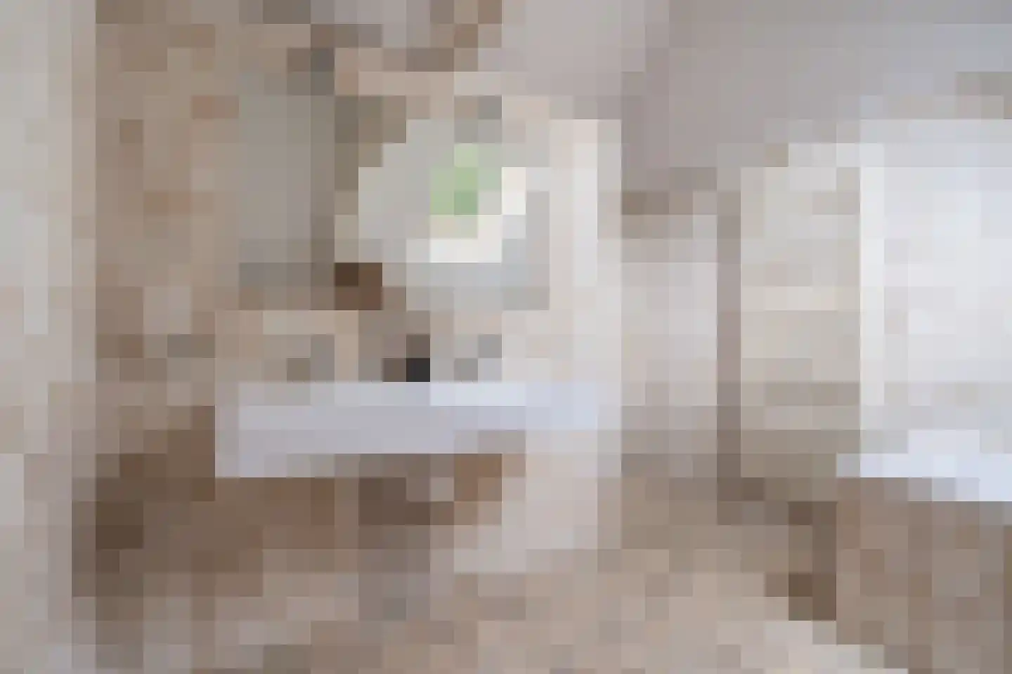 Kerkstraat 2 Bavel thumbnail 17