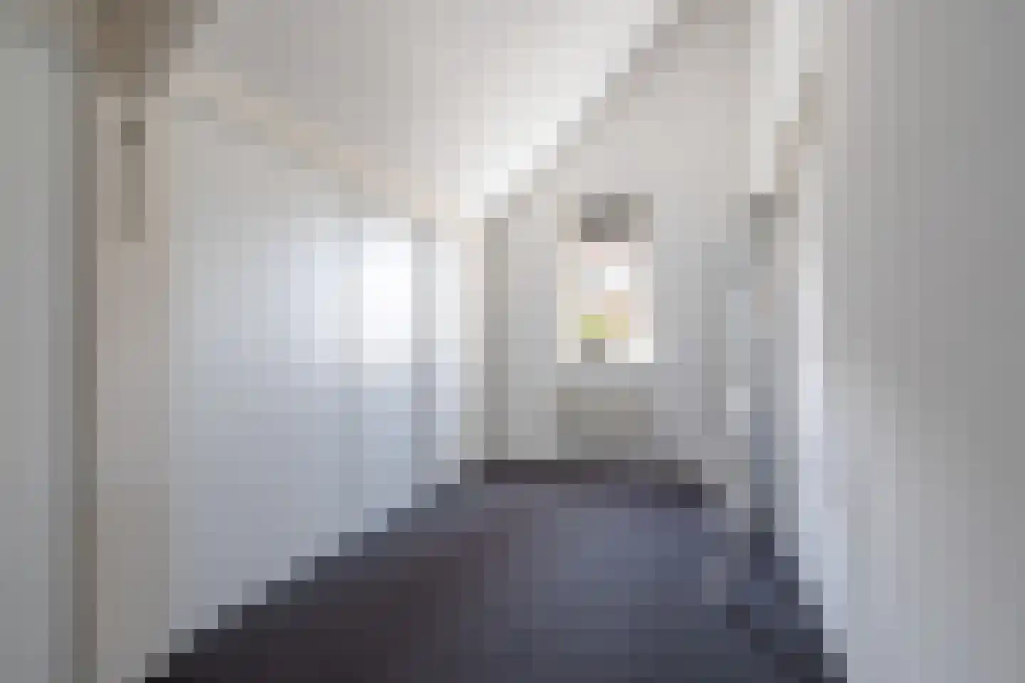 Kerkstraat 2 Bavel thumbnail 25