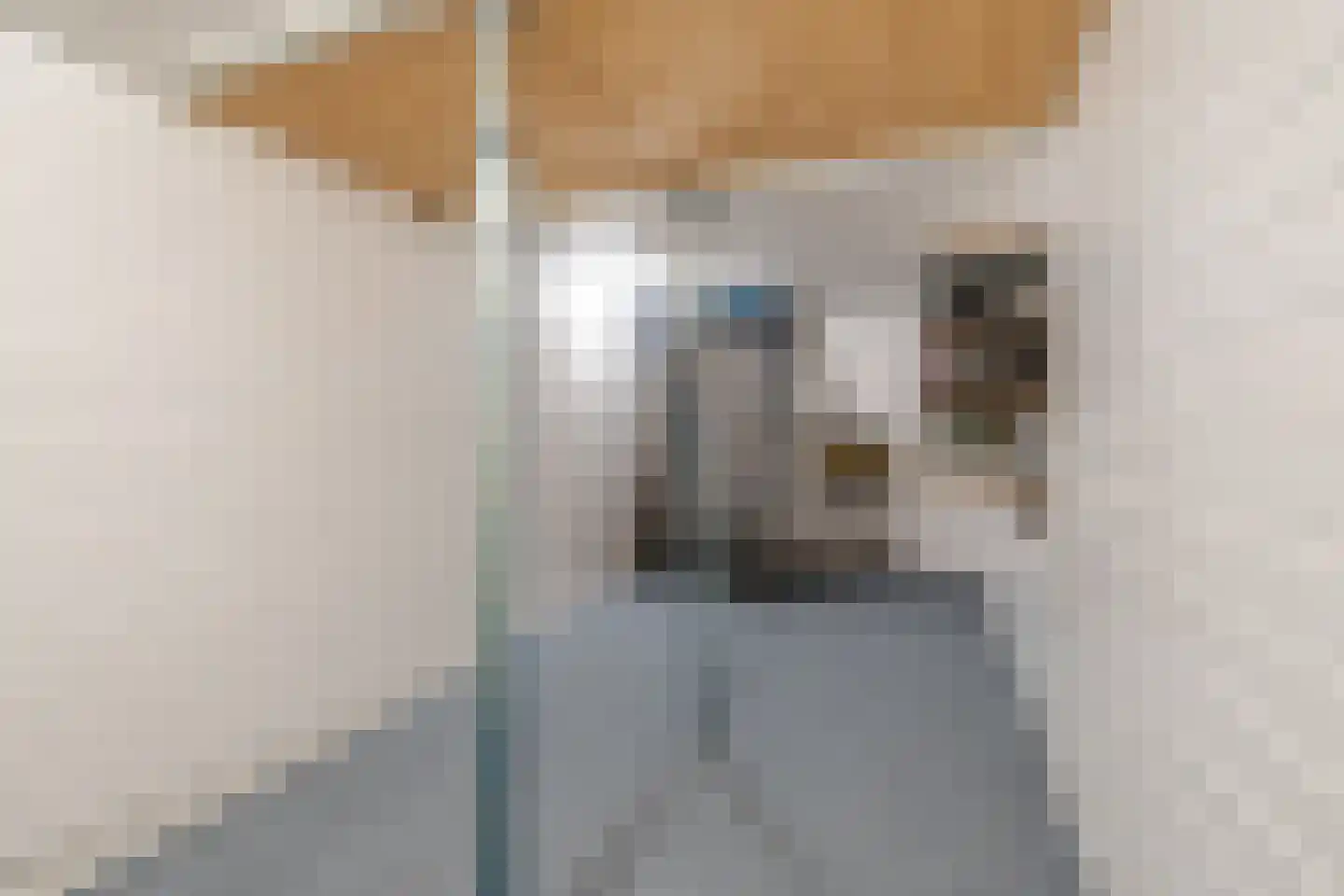 Kerkstraat 2 Bavel thumbnail 27