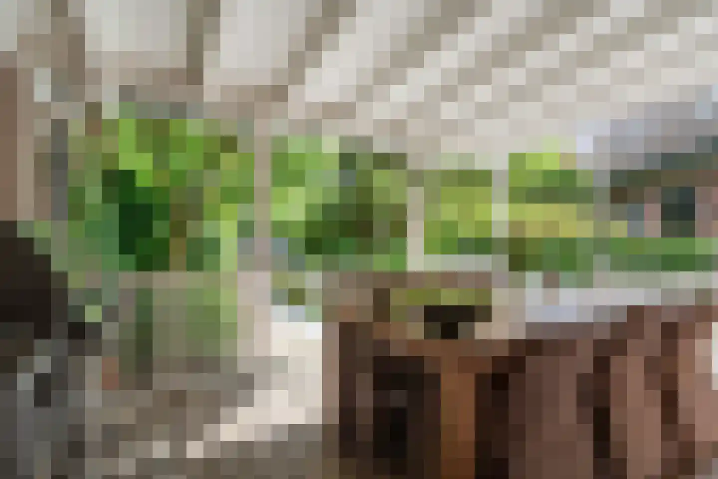Kerkstraat 2 Bavel thumbnail 32