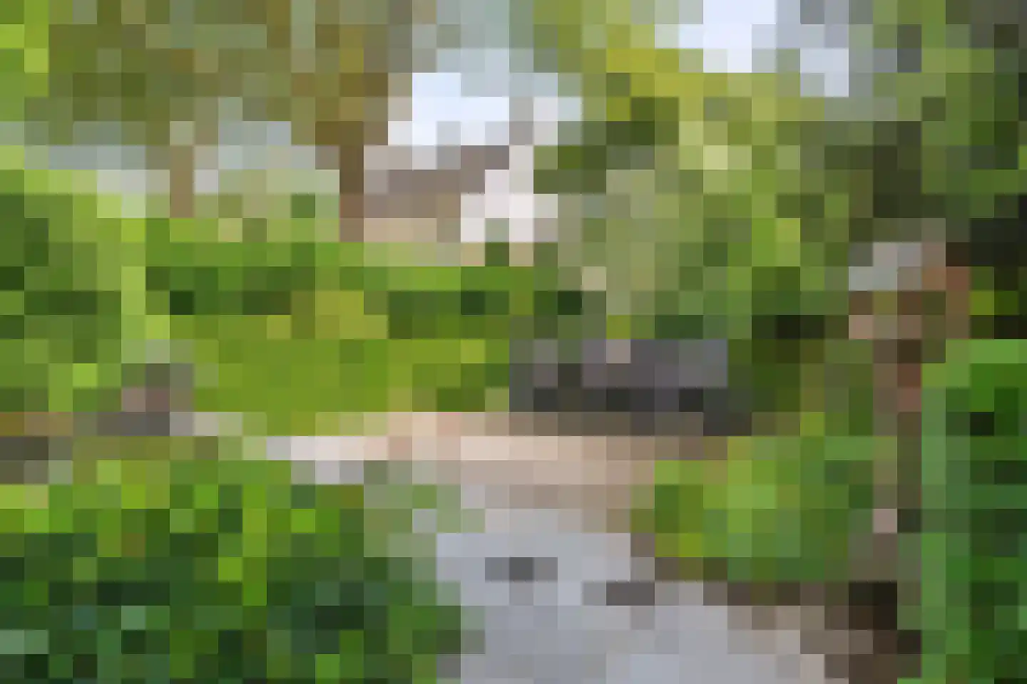 Kerkstraat 2 Bavel thumbnail 35