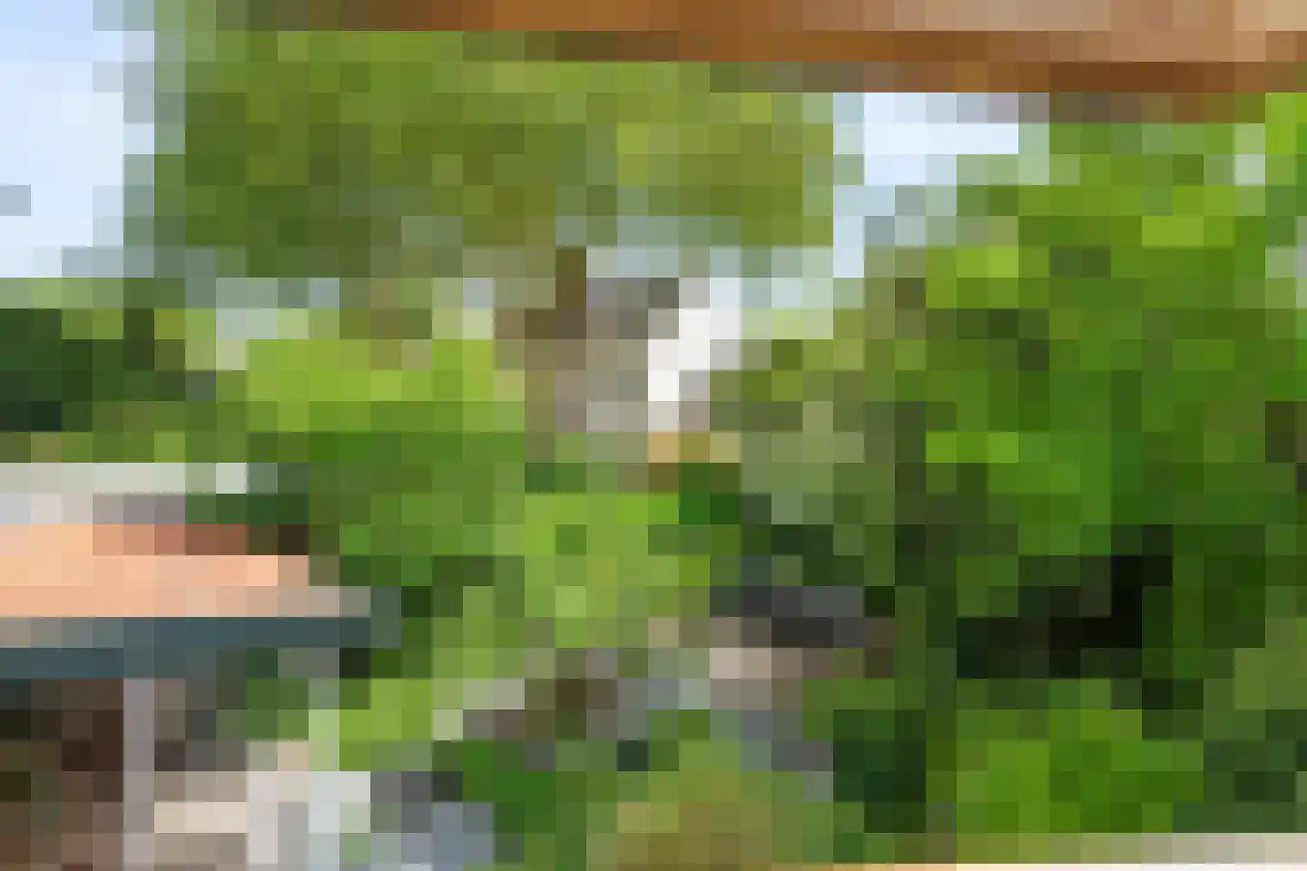 Kerkstraat 2 Bavel thumbnail 4