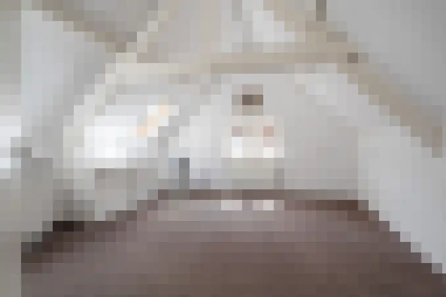 Kerkstraat 2 Bavel thumbnail 45