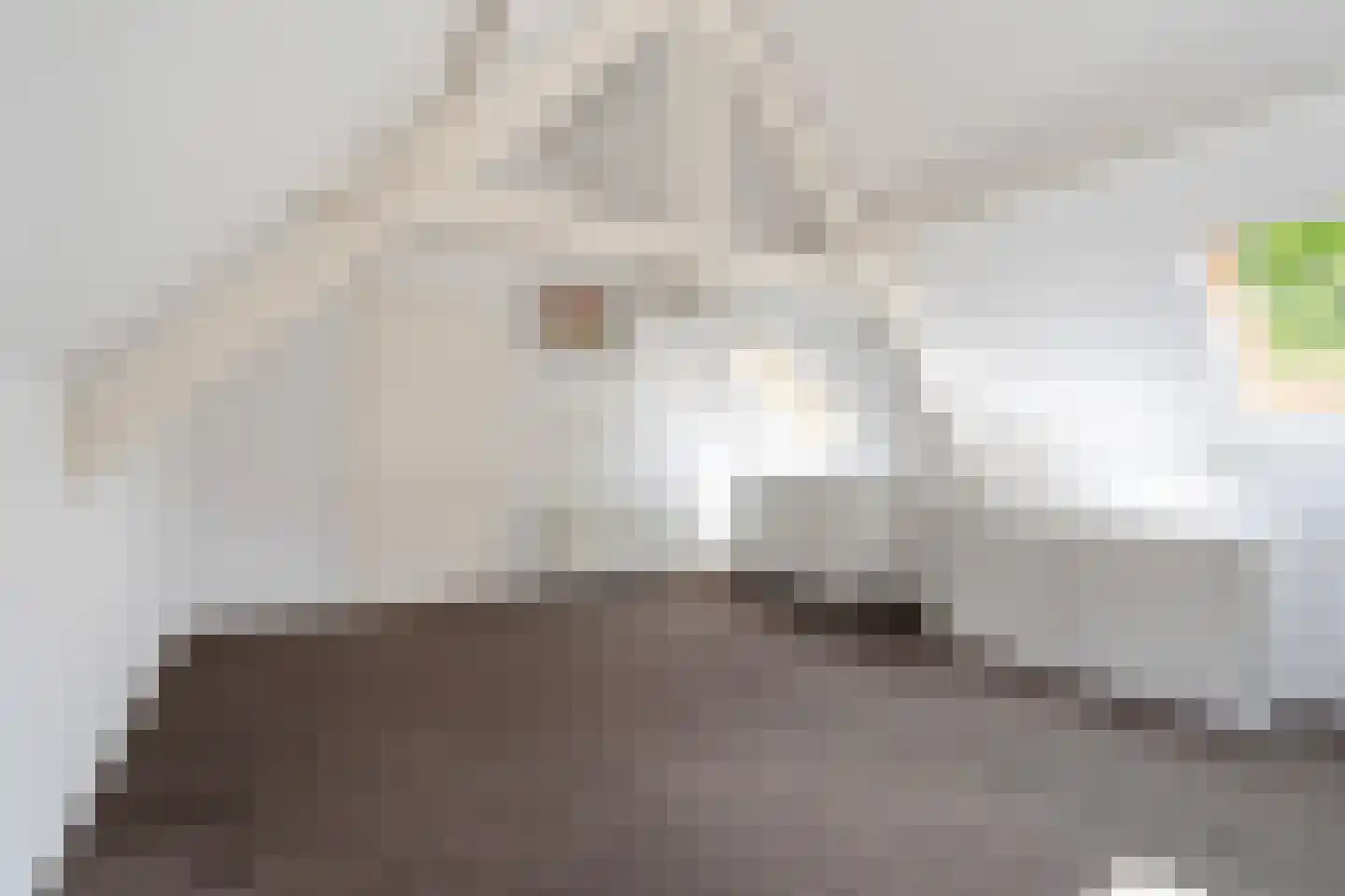 Kerkstraat 2 Bavel thumbnail 46