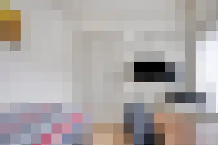 Kerkstraat 2 C Berghem thumbnail 30