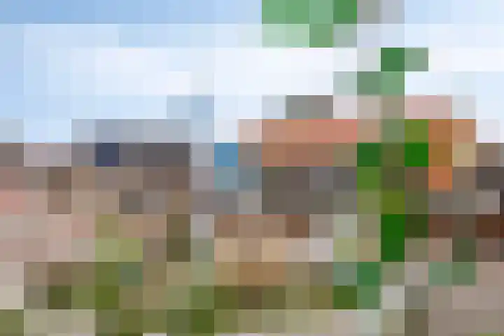Kerkstraat 2 C Berghem thumbnail 33