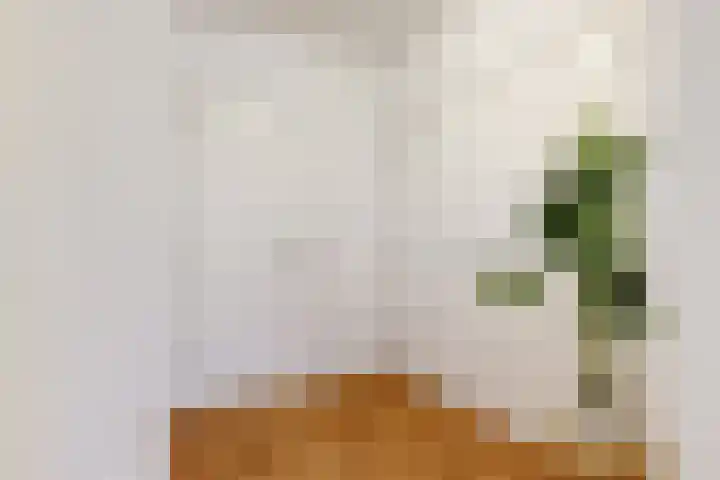 Kerkstraat 2 D Wormerveer thumbnail 14