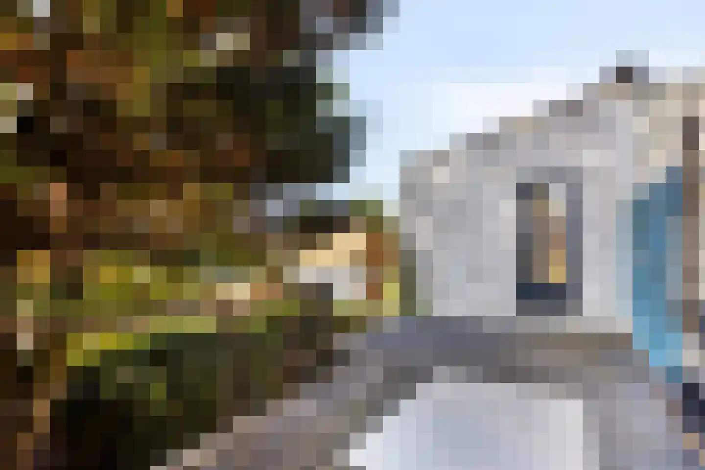 Kerkstraat 2 Egmond aan Zee thumbnail 47