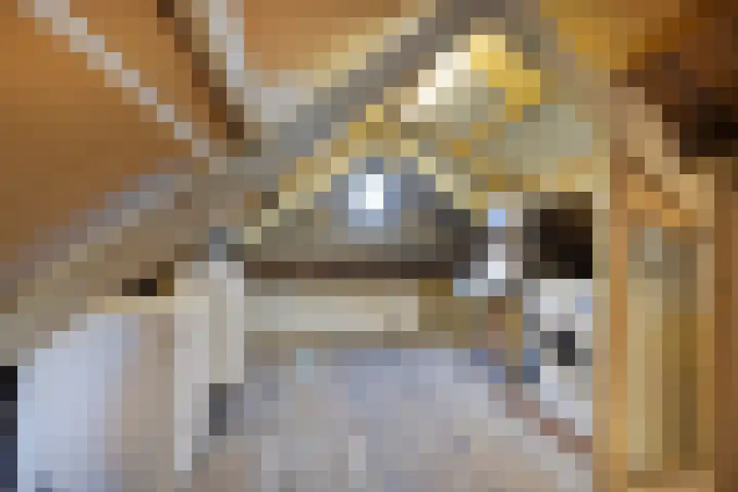 Kerkstraat 2 Egmond aan Zee thumbnail 49