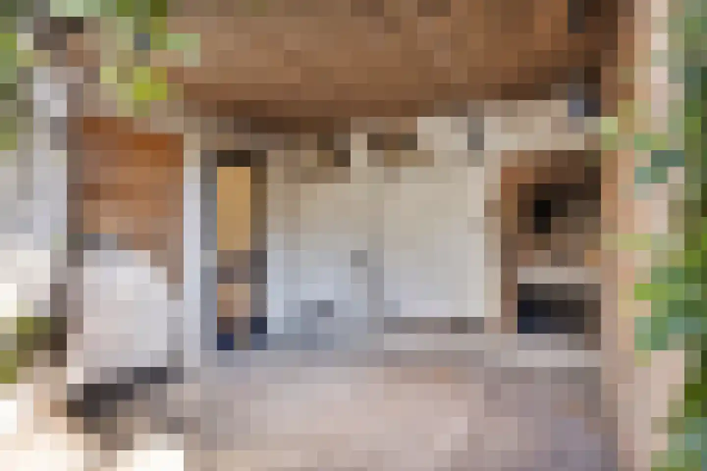 Kerkstraat 2 Egmond aan Zee thumbnail 52