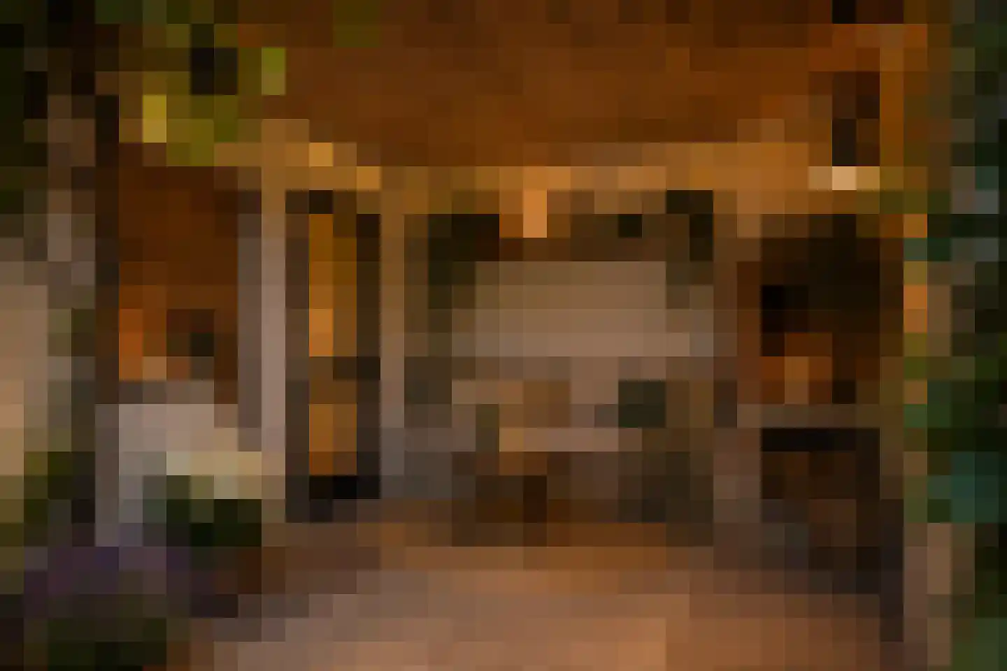 Kerkstraat 2 Egmond aan Zee thumbnail 53