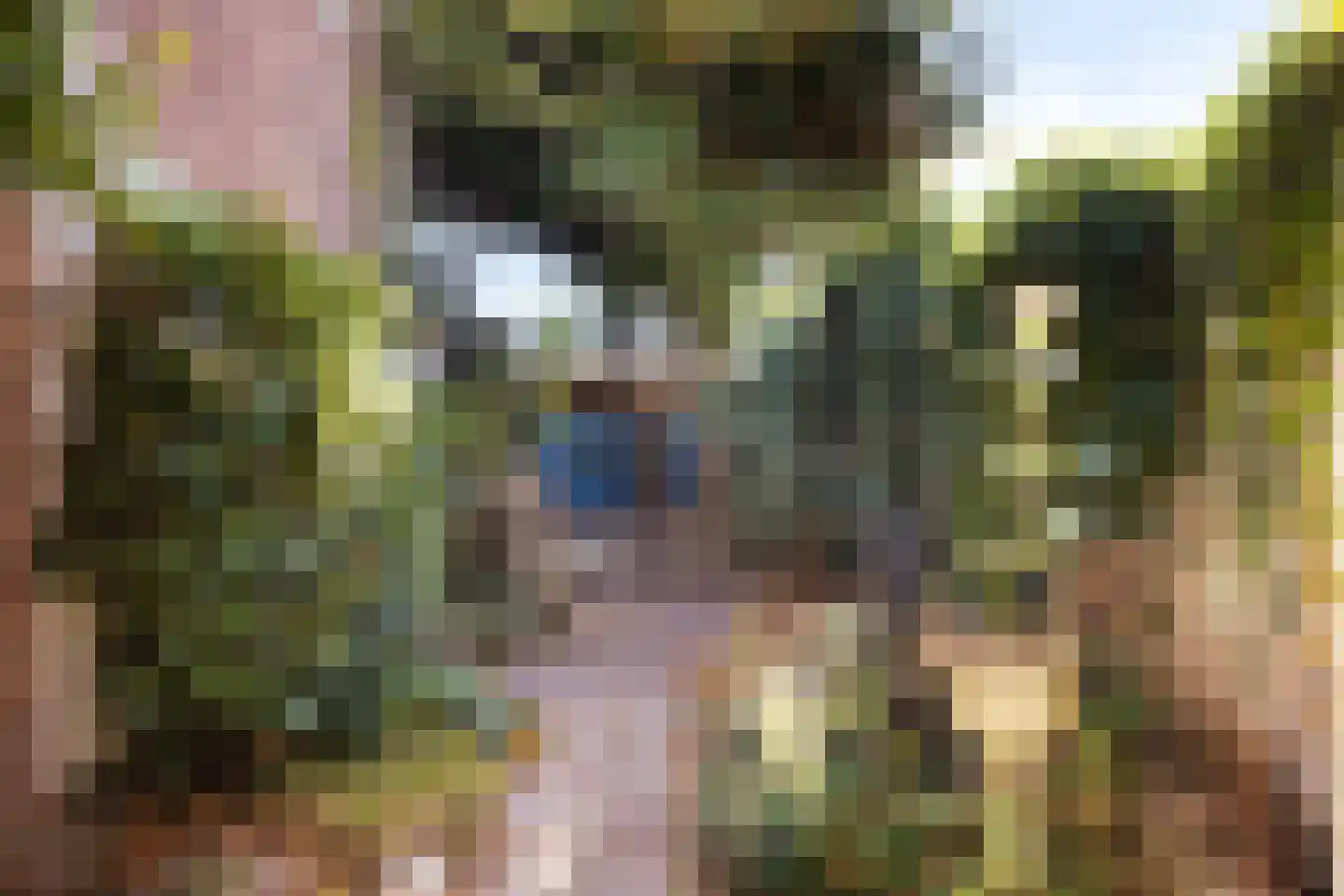 Kerkstraat 2 Egmond aan Zee thumbnail 55