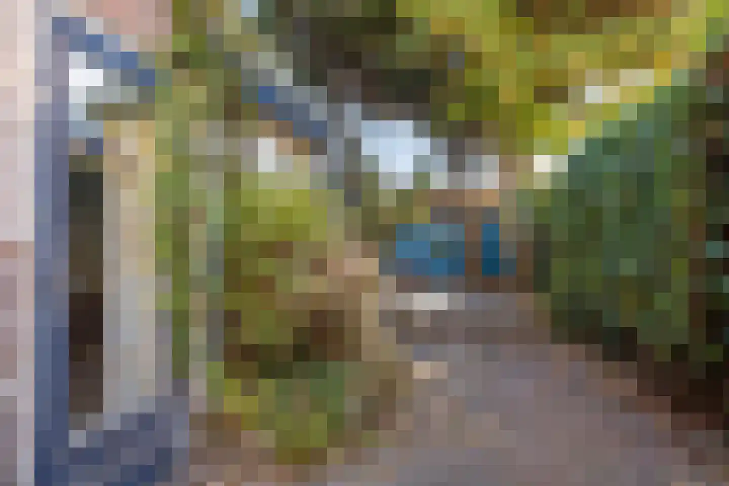 Kerkstraat 2 Egmond aan Zee thumbnail 56