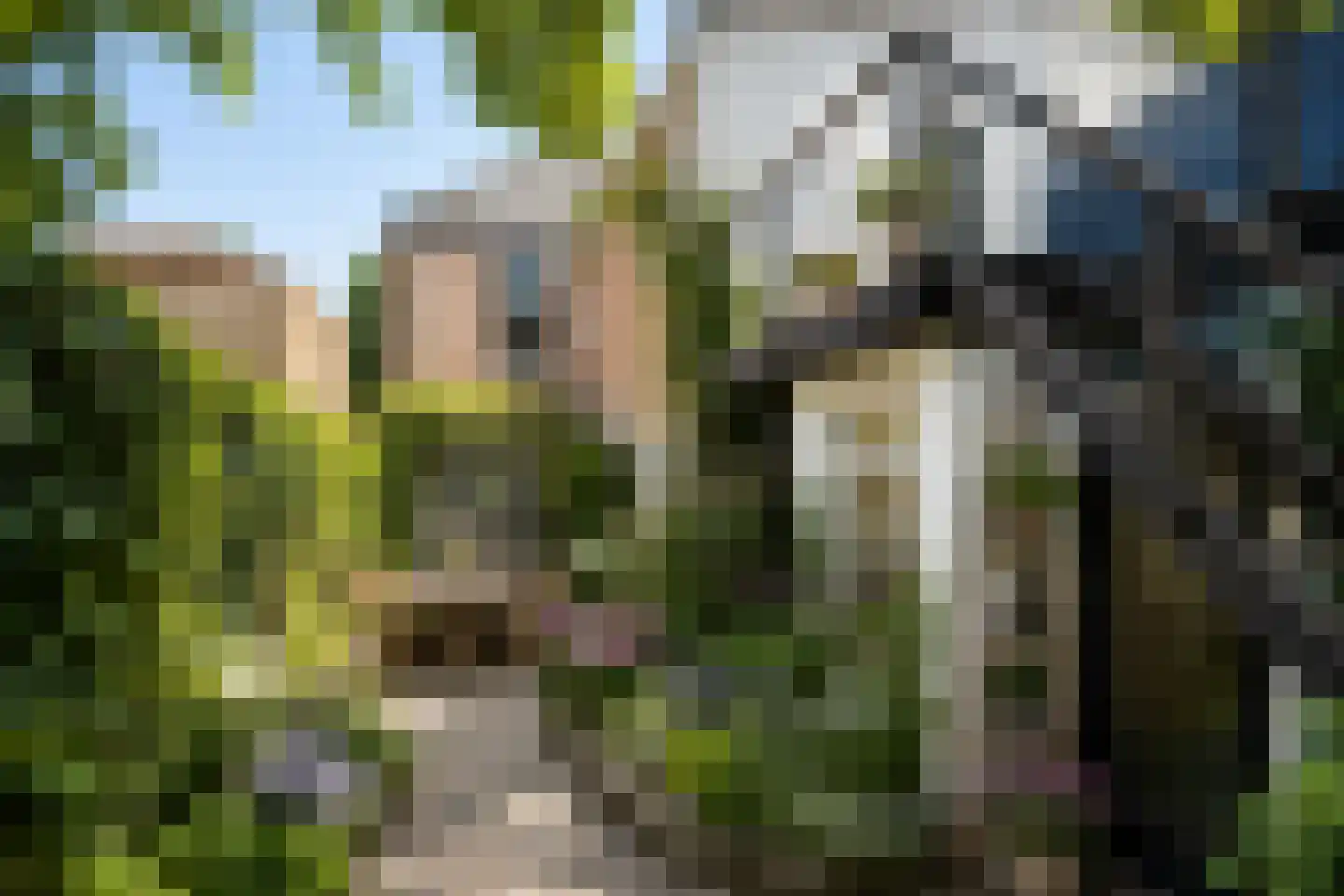 Kerkstraat 2 Egmond aan Zee thumbnail 61