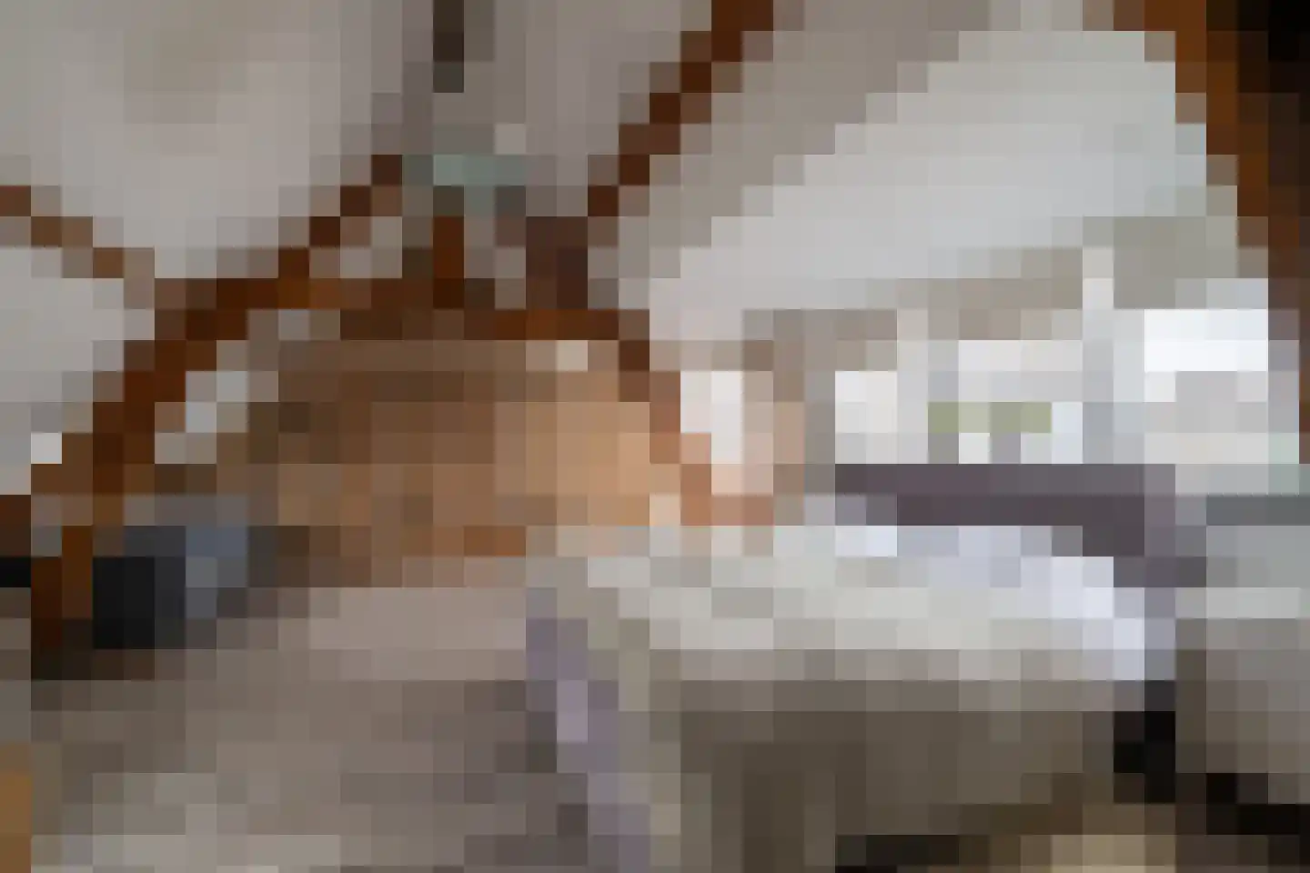 Kerkstraat 2 Landgraaf thumbnail 18