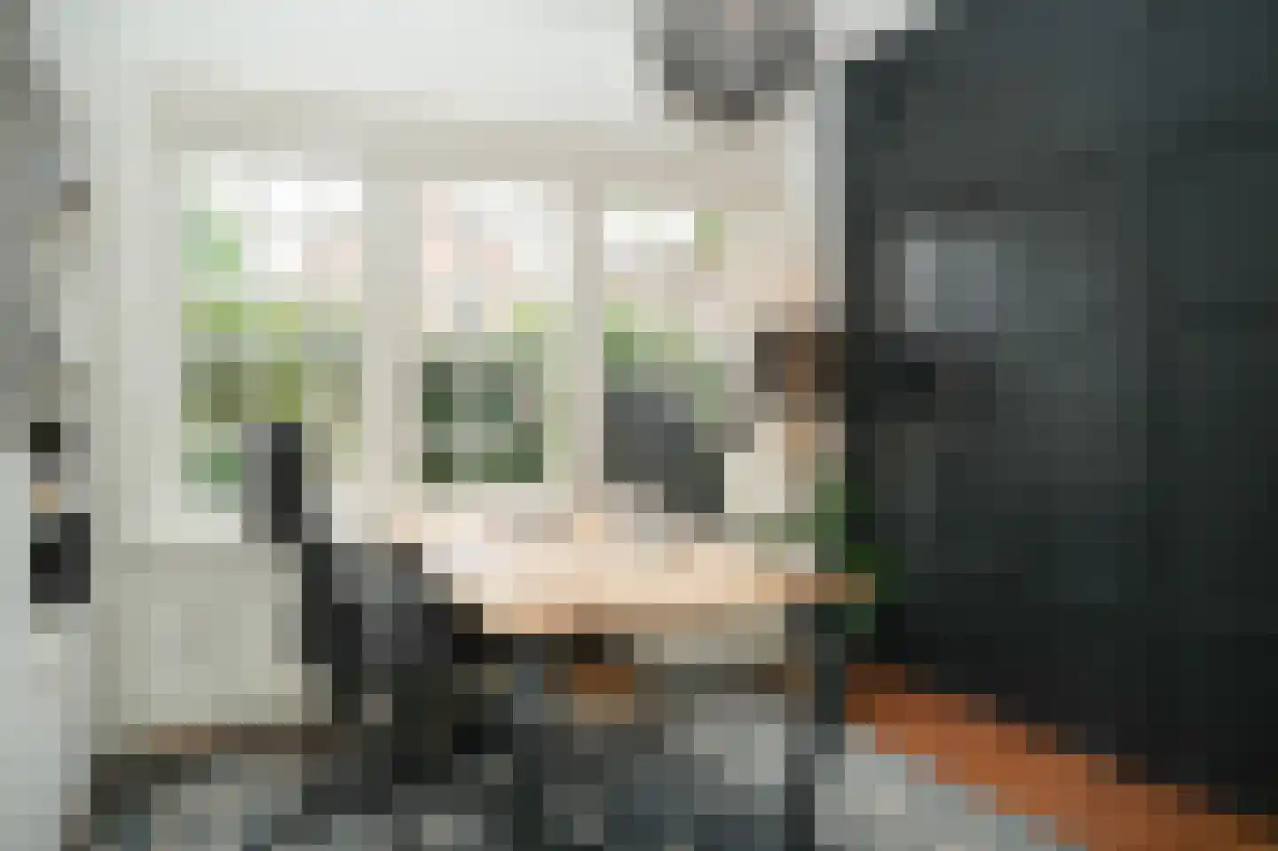Kerkstraat 2 Maasbommel thumbnail 18