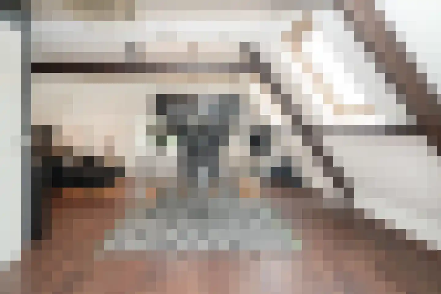 Kerkstraat 2 Maasbommel thumbnail 35
