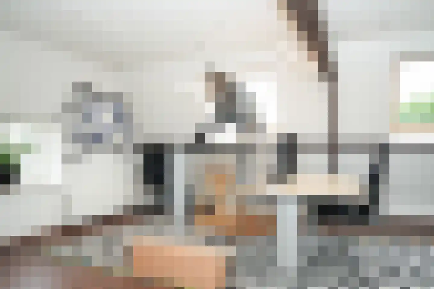 Kerkstraat 2 Maasbommel thumbnail 36