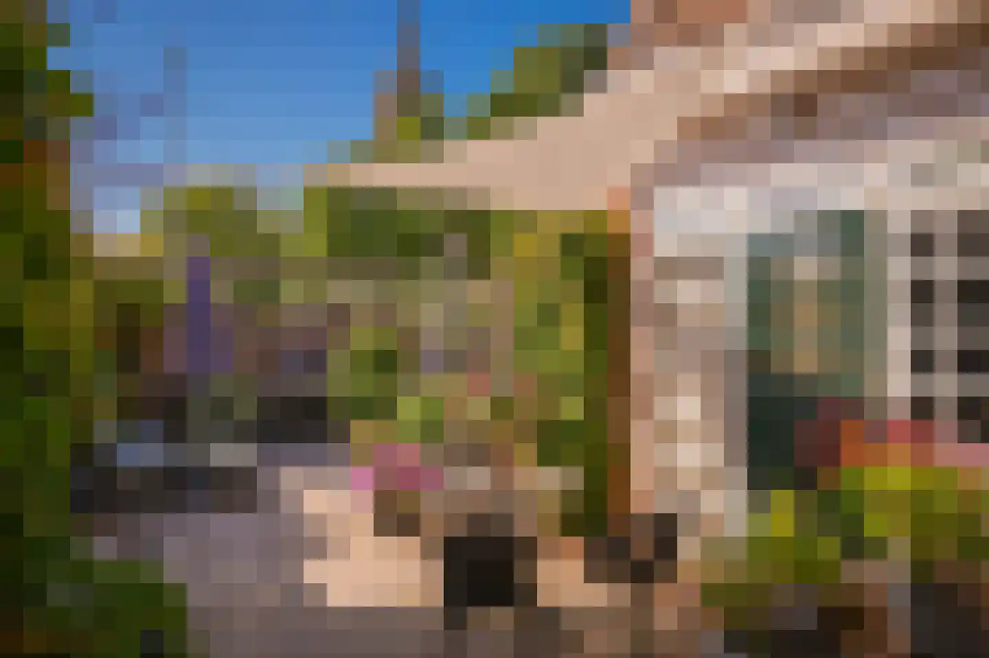 Kerkstraat 2 Maasbommel thumbnail 48