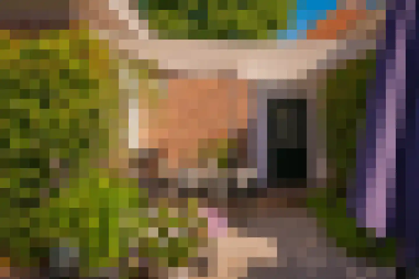 Kerkstraat 2 Maasbommel thumbnail 52