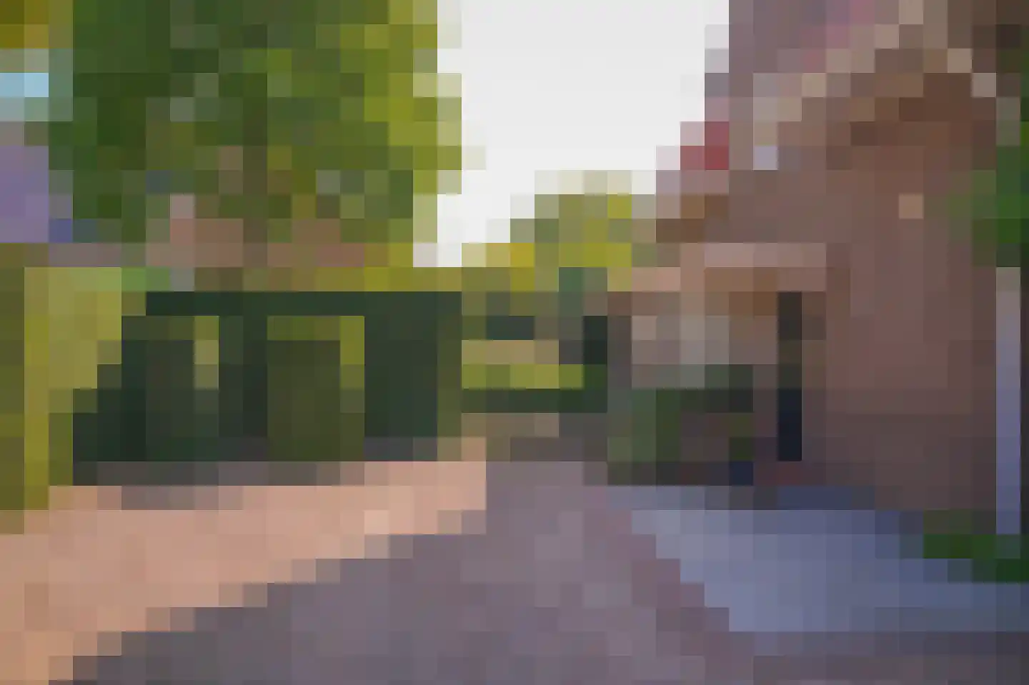 Kerkstraat 2 Maasbommel thumbnail 56