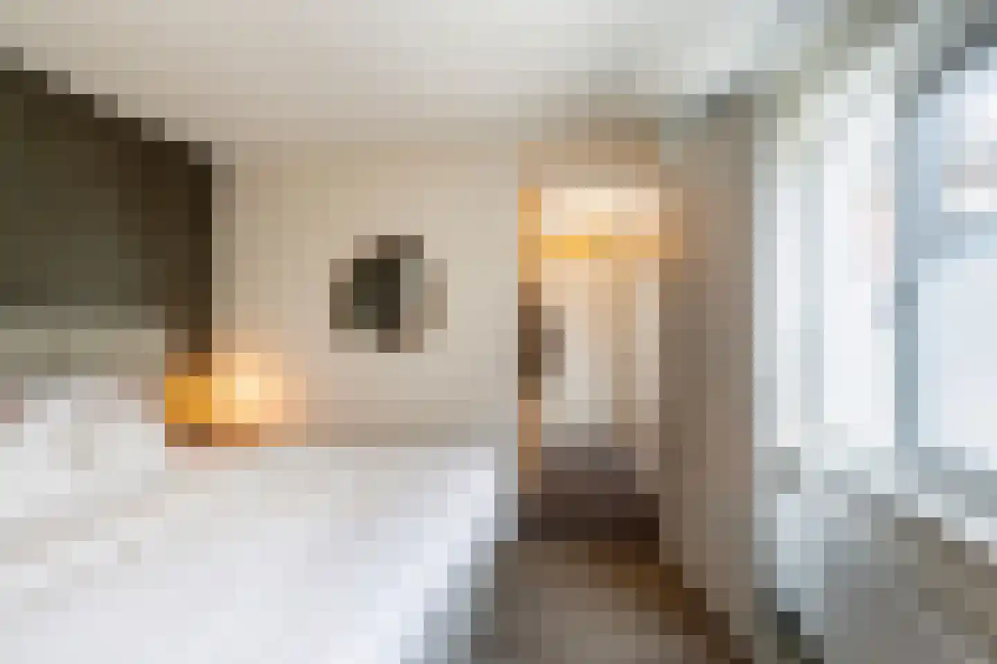 Kerkstraat 2 Naaldwijk thumbnail 19