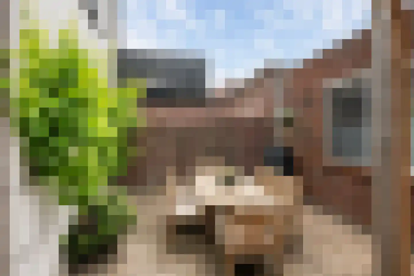 Kerkstraat 2 Naaldwijk thumbnail 27