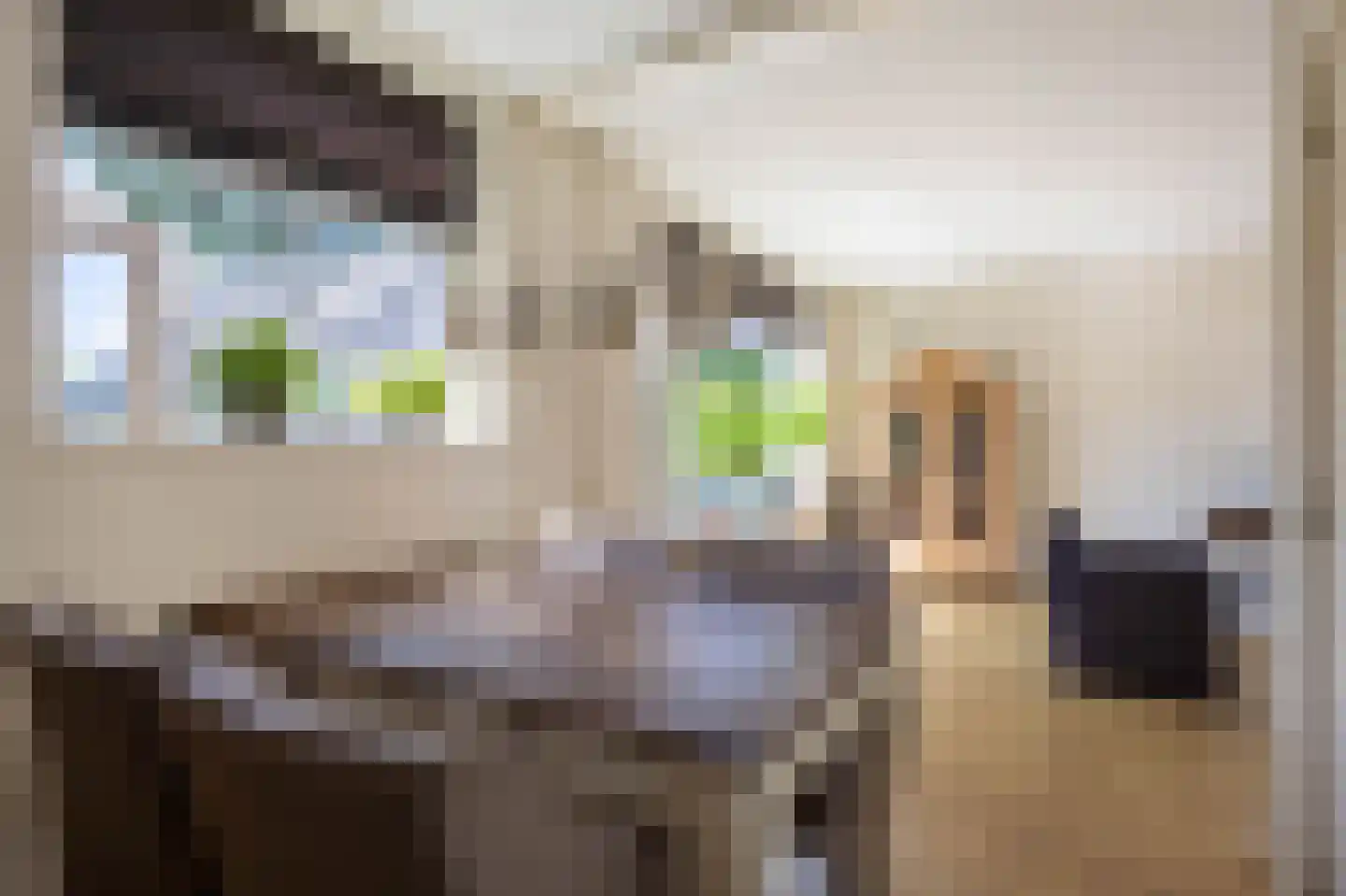 Kerkstraat 2 Ulrum thumbnail 17