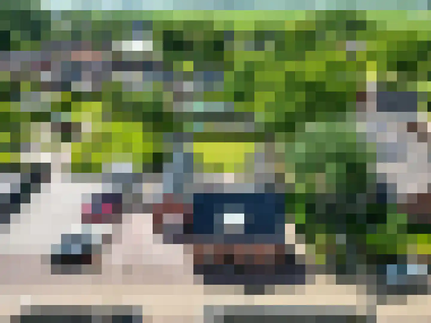 Kerkstraat 2 Ulrum thumbnail 4