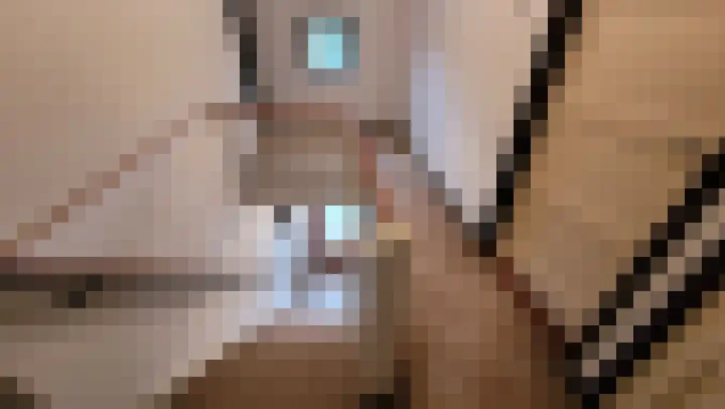 Kerkstraat 2 Varik thumbnail 20